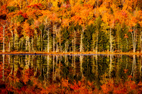 Vermont Reflection