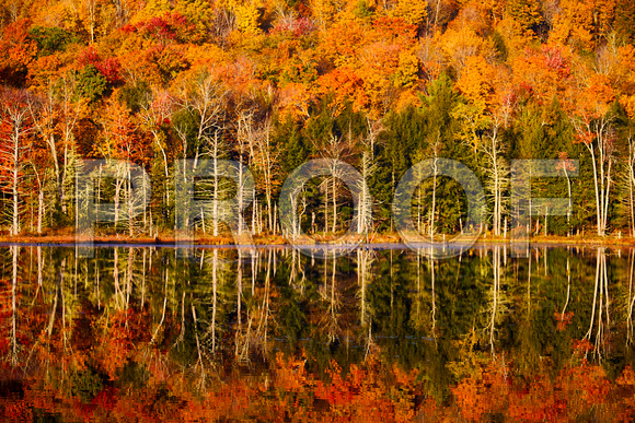 Vermont Reflection